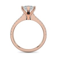 Cara Fine Claw set