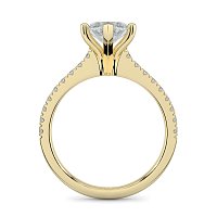Cara Fine Claw set