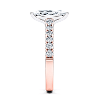 Cara Mid Claw set