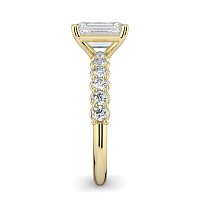 Cara Mid Deluxe