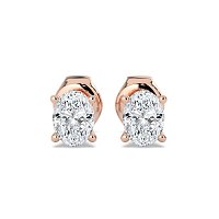 Claw Set Earrings