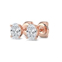Claw Set Earrings