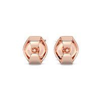 Claw Set Earrings