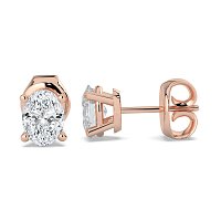 Claw Set Earrings