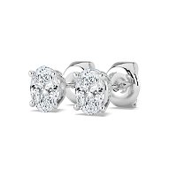 Claw Set Earrings