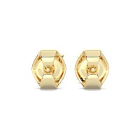 Claw Set Earrings