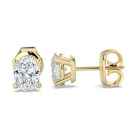 Claw Set Earrings