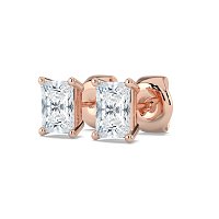Claw Set Earrings
