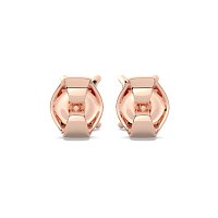 Claw Set Earrings