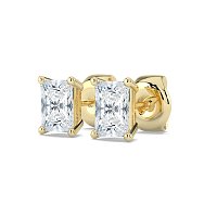 Claw Set Earrings