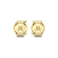 Claw Set Earrings