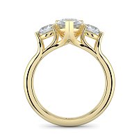 Dalia 3 Stones Round