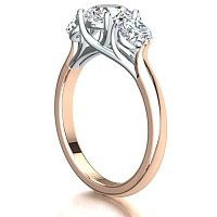 Dalia 3 stones