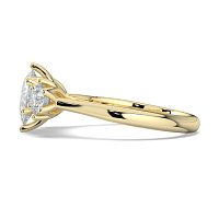 Tulip 3 Stones Round