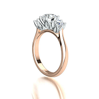 Tulip 3 Stone