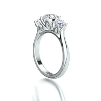 Tulip 3 Stone