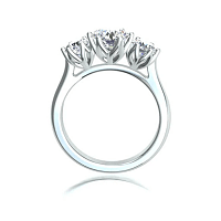 Tulip 3 Stone