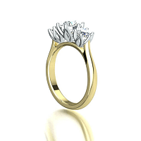 Tulip 3 Stone