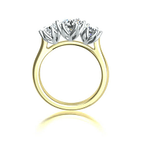 Tulip 3 Stone