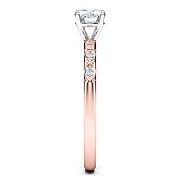 Petite Marquise