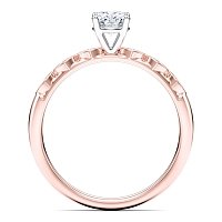 Petite Marquise