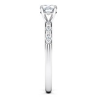 Petite Marquise
