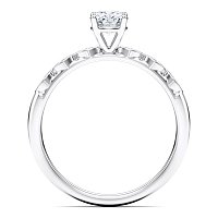 Petite Marquise