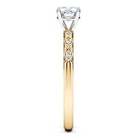 Petite Marquise