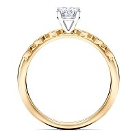 Petite Marquise