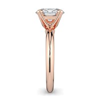 Tribute