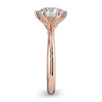 Tulip Petal