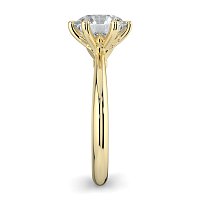 Tulip Petal
