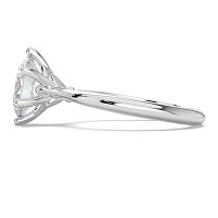 Tulip Petal