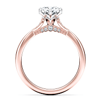Tulip Petal with Diamonds