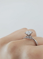 Tulip Petal with Diamonds