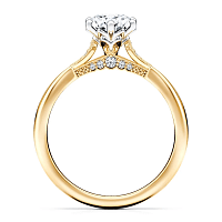 Tulip Petal with Diamonds