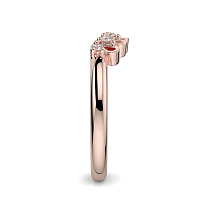 Tulip Blossom Petal Curve