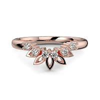 Tulip Blossom Petal leaf