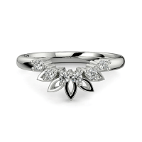 Tulip Blossom Petal leaf