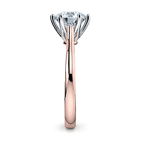 Cathedral Fine 6 Split Claw