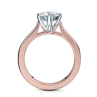 Cathedral Fine 6 Split Claw