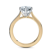 Cathedral Fine 6 Split Claw