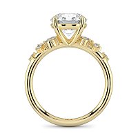 Cluster Ring