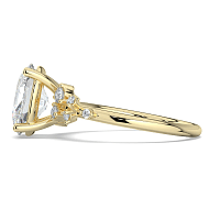 Cluster Ring