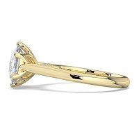 Tulip 6 Claws with Diamond Bridge