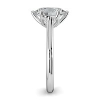 Tulip 6 Claws with Diamond Bridge