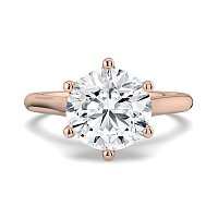 Tulip 6 Claws with Diamond Bridge