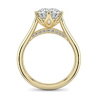 Tulip 6 Claws with Diamond Bridge