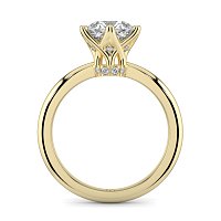 Tulip 6 Claws Crown