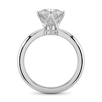 Tulip 6 Claws Crown